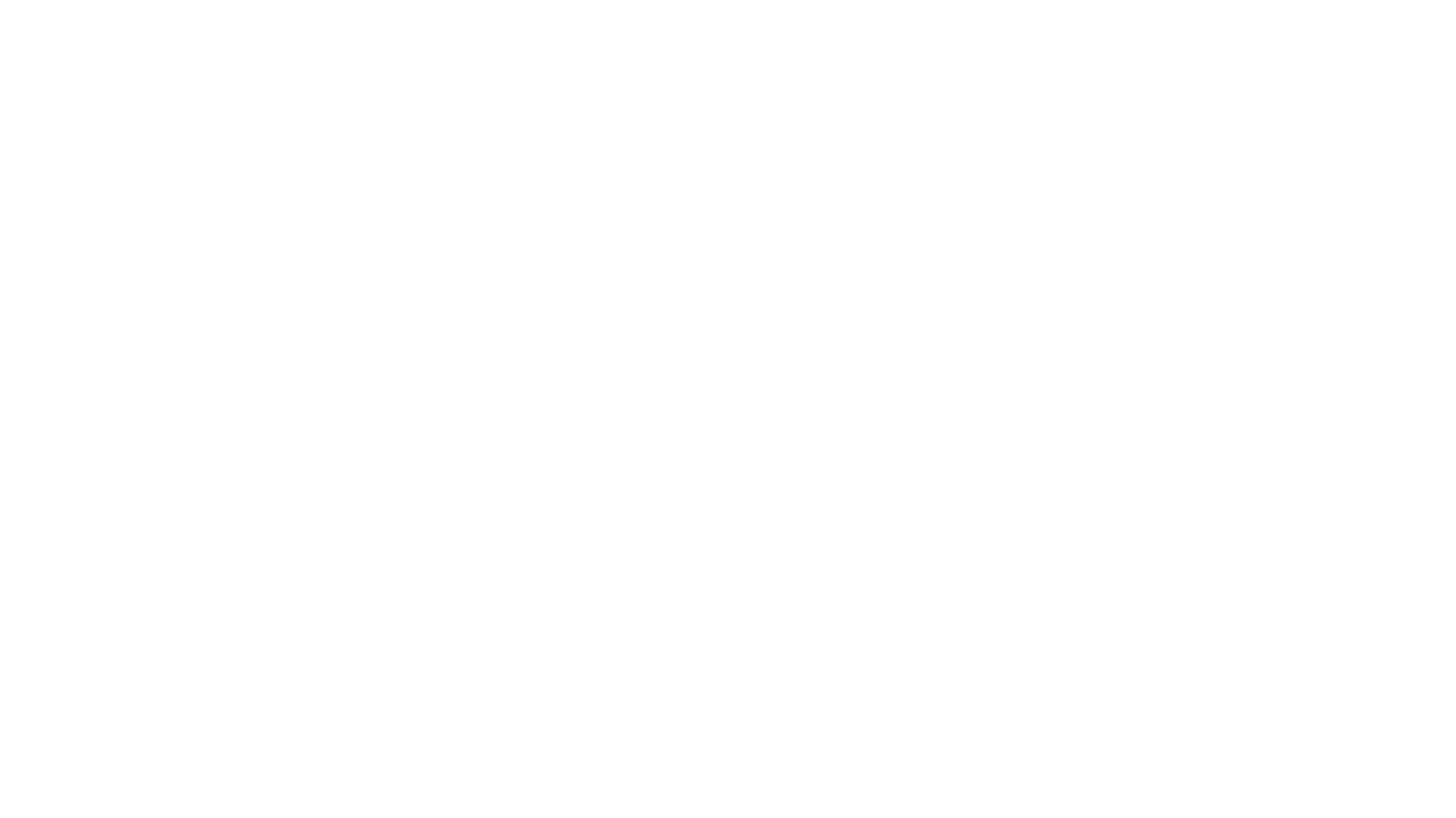 Lumix PPF
